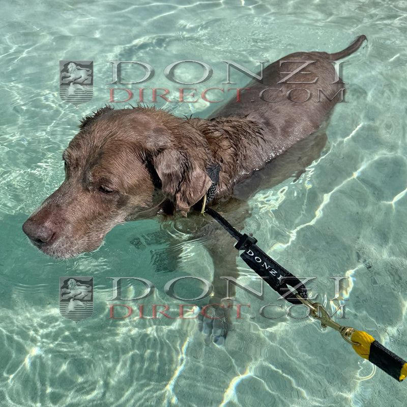 Donzi Dogz Leash (Multiple Colors Available)