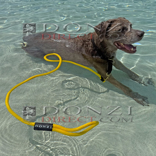 Donzi Dogz Leash